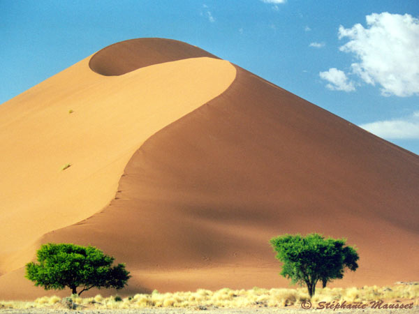 Best of photos Namib desert dune