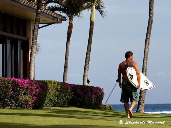 Best of photos surfeur hawaiien