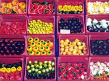 paper-maché fruits