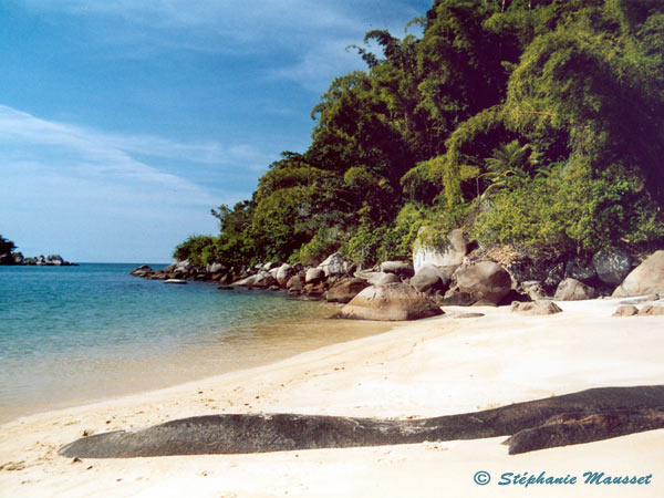 Best of photos paraty iddylic beach