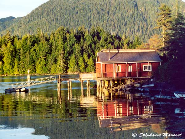 Best of photos Tofino landscape