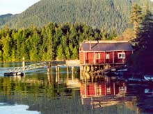 Tofino landscape