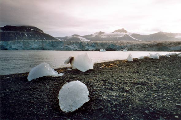 Glace et glacier du Spitzberg