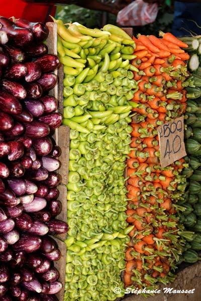 Carottes, aubergines, poivrons et courgettes en colonnes