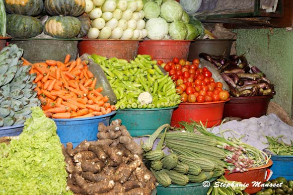 couleur de légumes