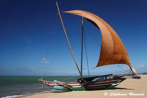 Pirogue oruva à balancier du Sri lanka