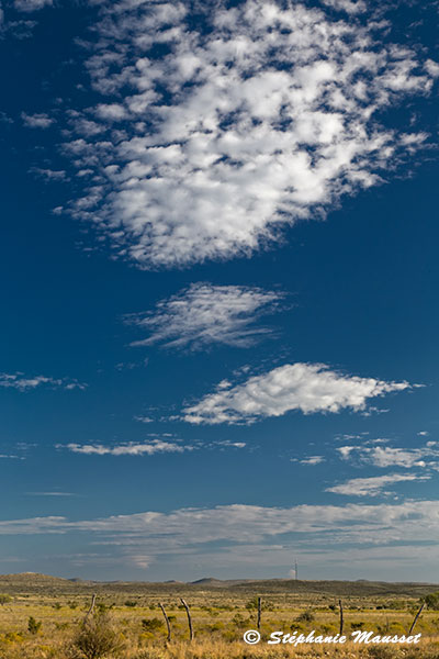 Paysage de plaine du Texas