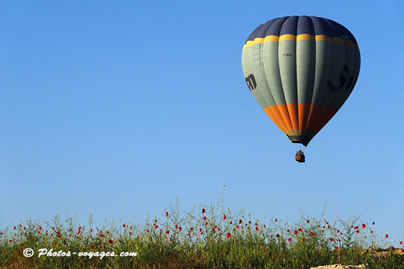 Montgolfiere et coquelicots