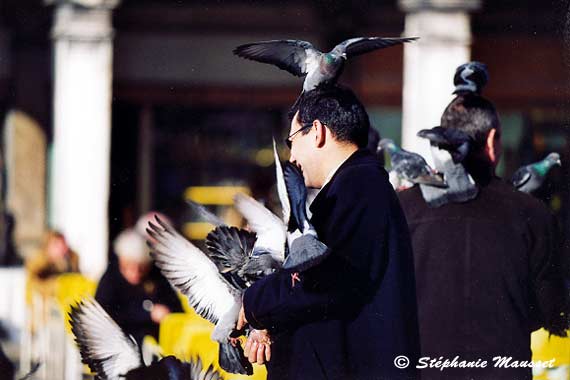 Pigeons on head and arm of a tourist