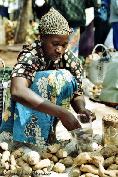 Femme zimbabwéenne vend des racines au marché