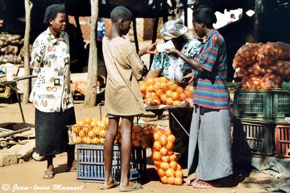 Jeune zimbabwéen achète des oranges