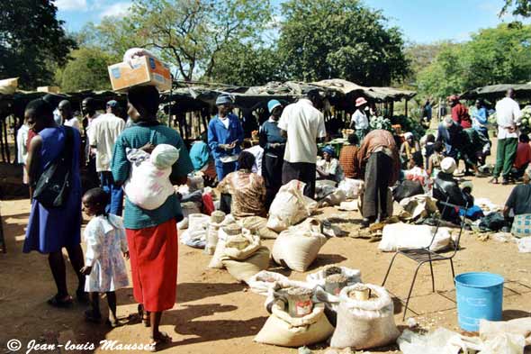 Zimbabwéenne au marché