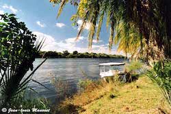 Zambezi banks